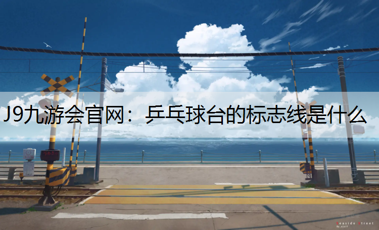 J9九游会官网：乒乓球台的标志线是什么