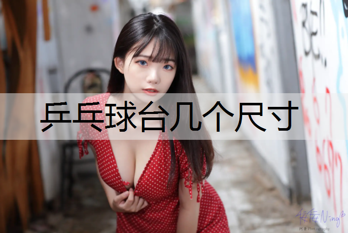 乒乓球台几个尺寸