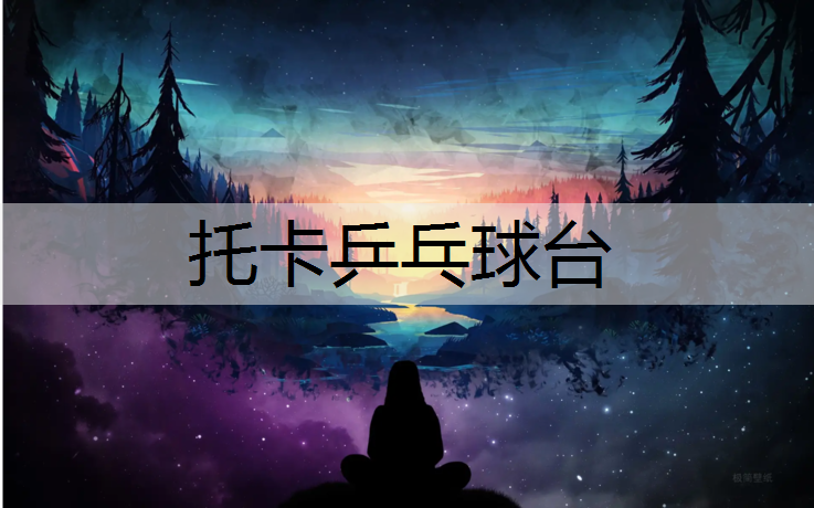 托卡乒乓球台