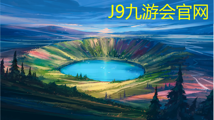 J9九游会官网：竞技体操专用垫球套