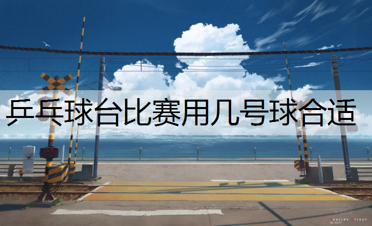 乒乓球台比赛用几号球合适