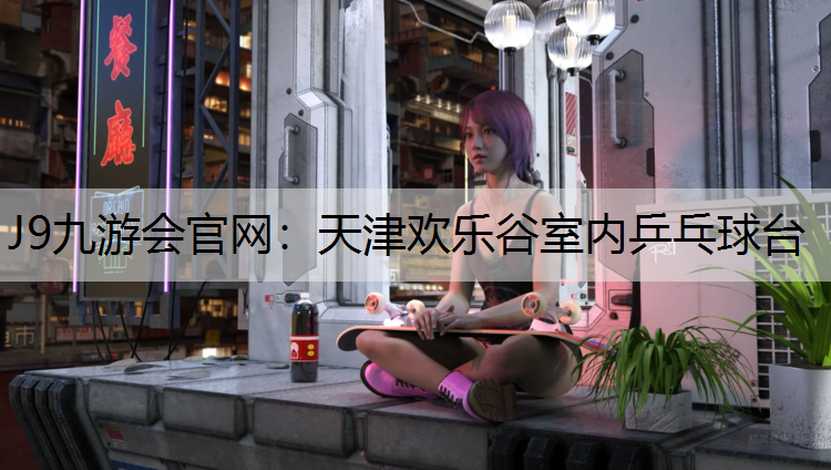 天津欢乐谷室内乒乓球台