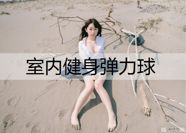 室内健身弹力球